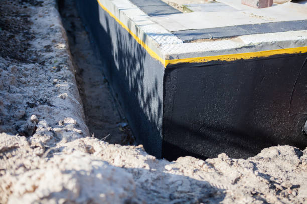 Professional Wet Basement Repair technician working in Douglas, GA